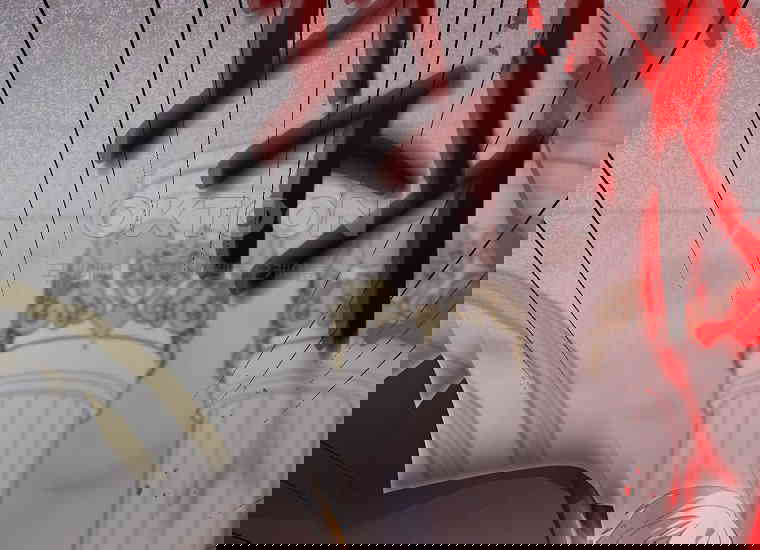 17302400519161pzk3w9yexi.jpg
