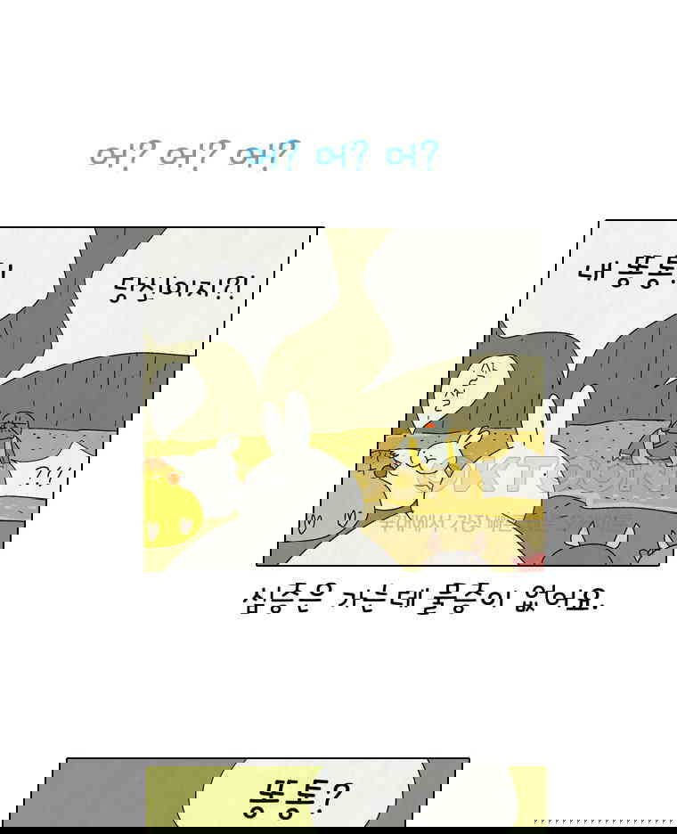 1730239165952j5so686ftws.jpg