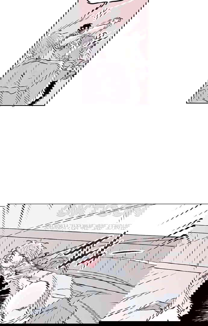 17303331584531uaga80qrh4.jpg