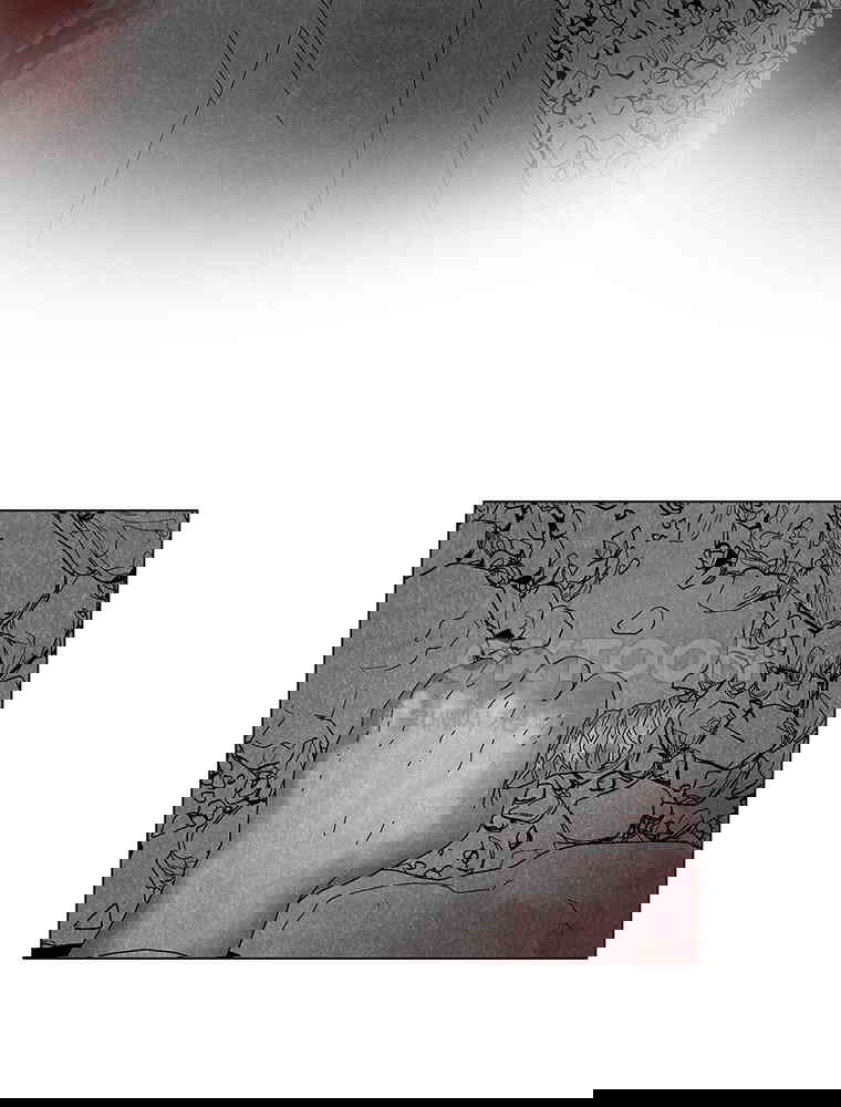 17303939157264349cu9cygn.jpg