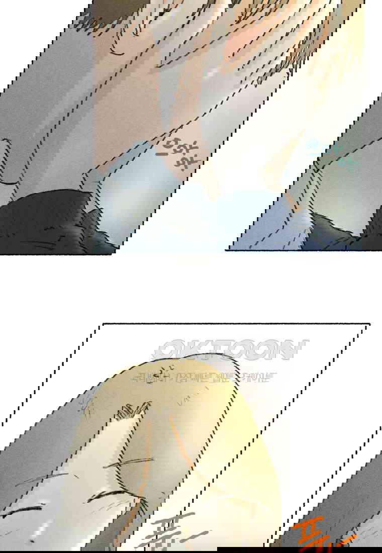 1730556196333rige3hmktta.jpg
