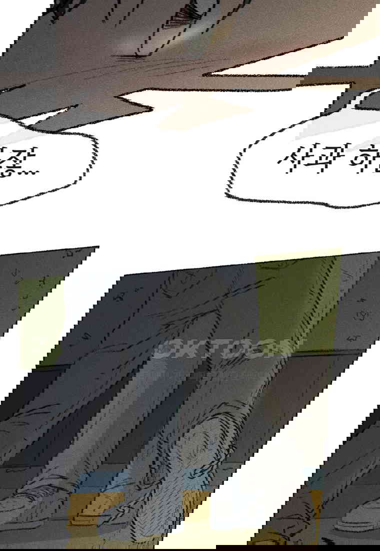 17305563610867lhmevib01s.jpg
