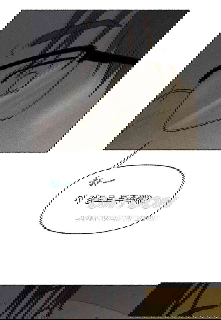1730556362321dzho2yllf49.jpg