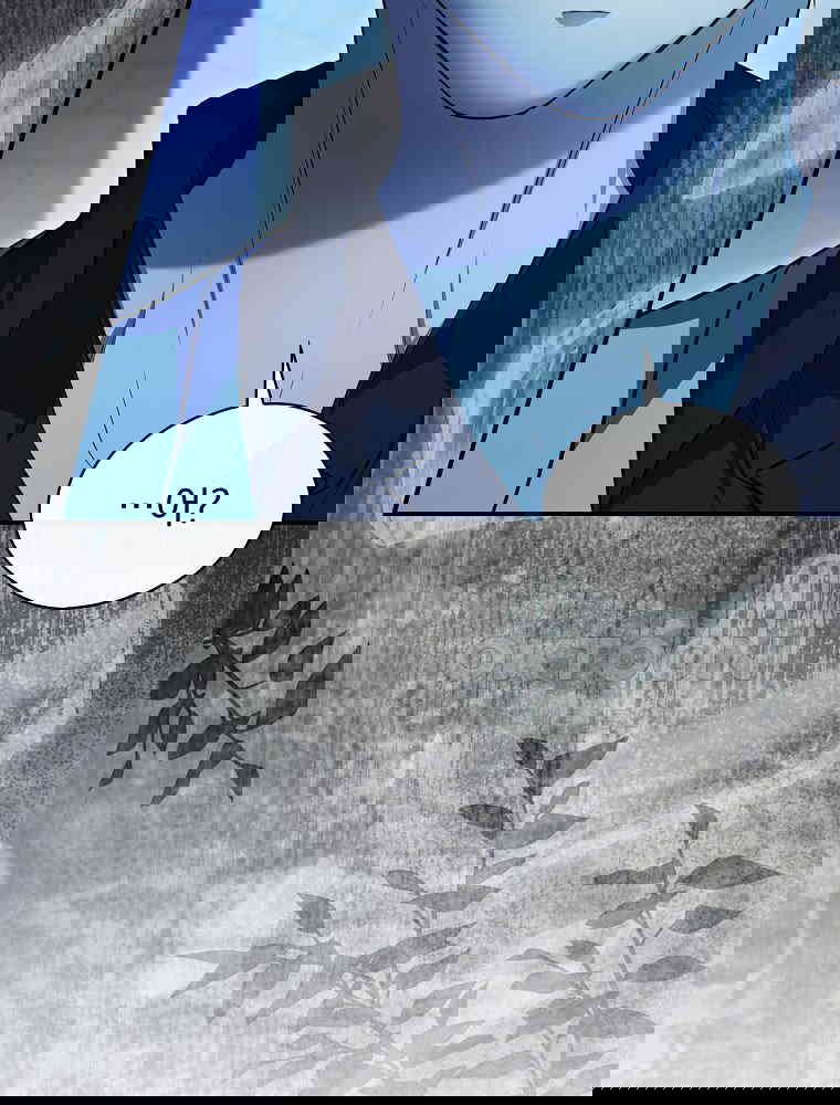 173055440907105vzy4cgyld.jpg
