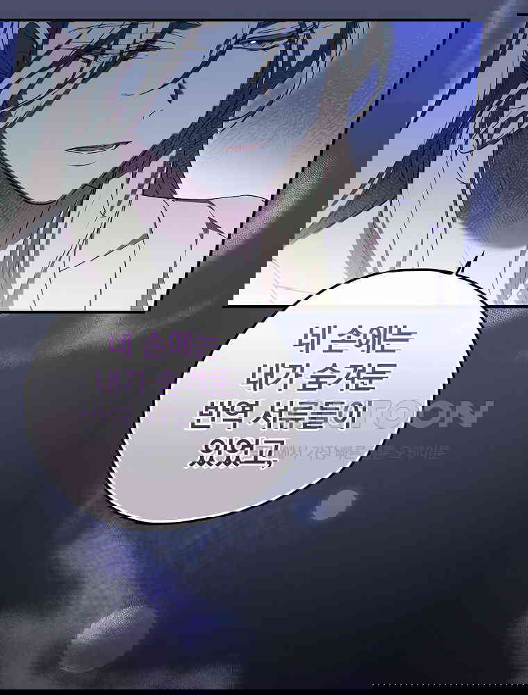 17305544100028vre2gt2k6k.jpg