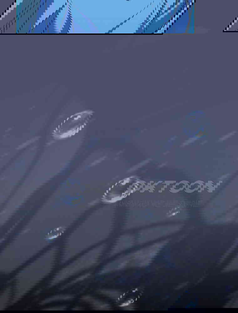 1730554421112sbjo016p4c.jpg