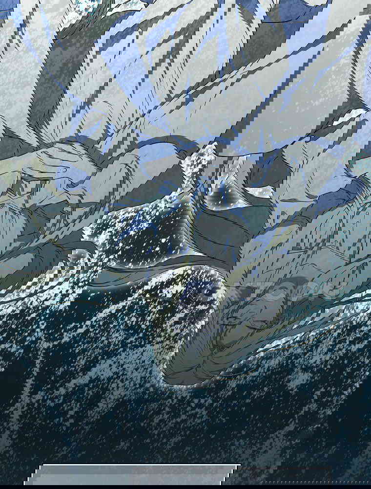 1730554427321o7v5jf47cnm.jpg