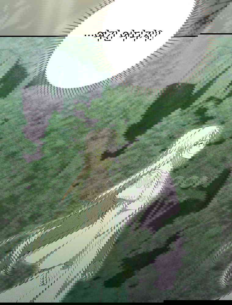1730554441789s3xtpa6yigh.jpg
