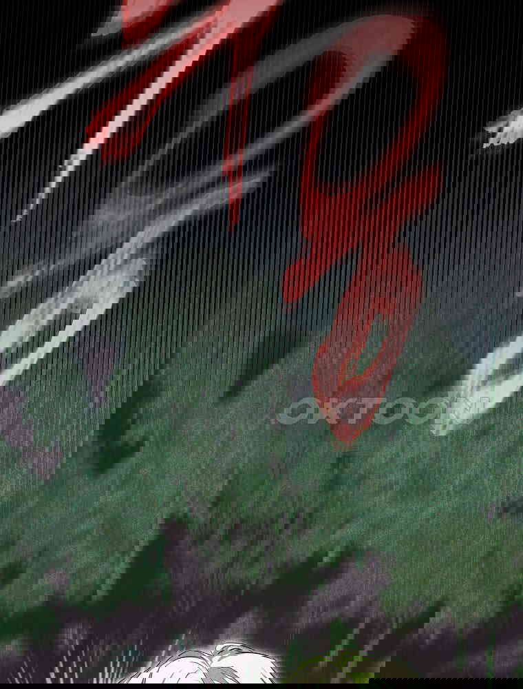 17305544466503o5usdaujvf.jpg