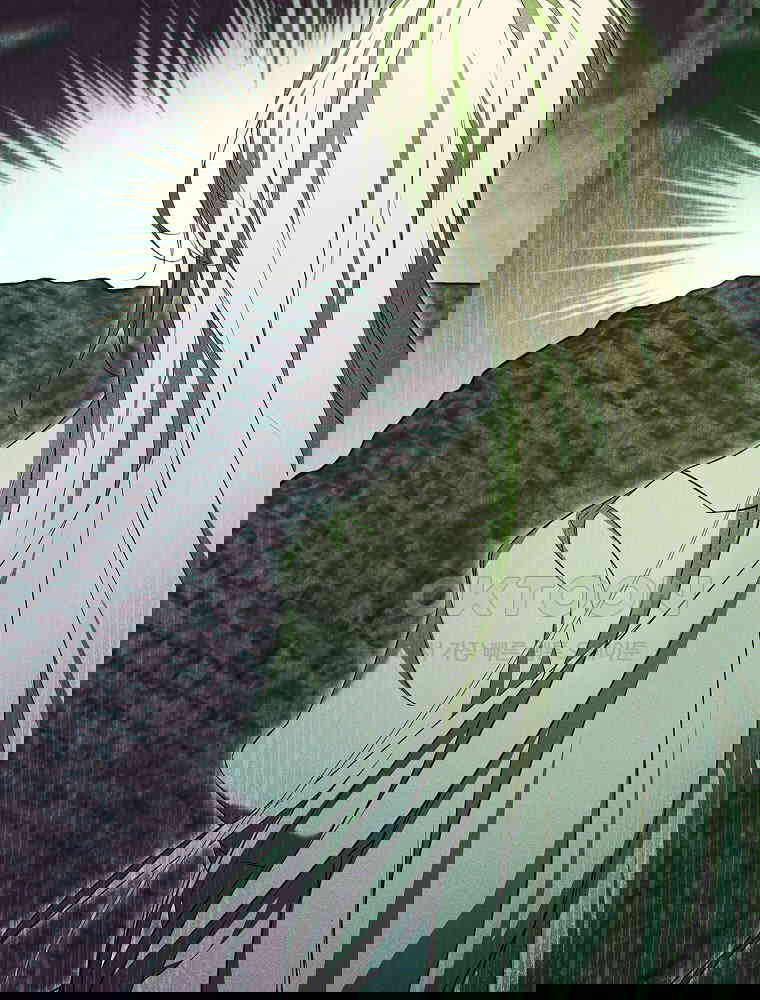 1730554446800265bmvysnzi.jpg