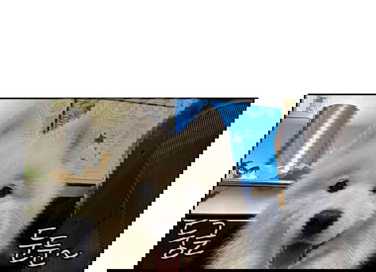 1730931439732kv6hrebcaae.jpg