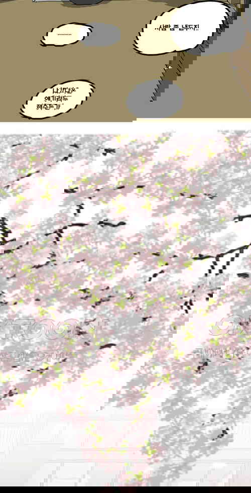 1731147989366t7vkpyen09e.jpg
