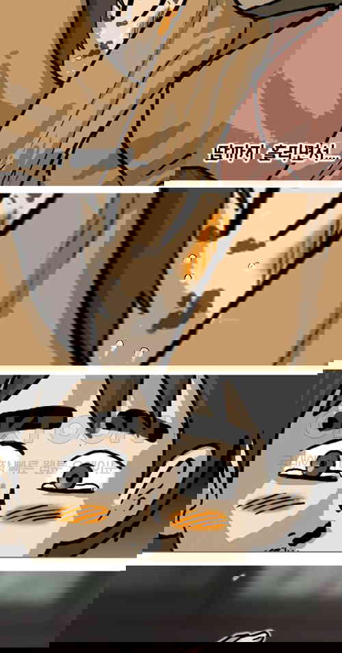1731147997691sbficwsv4md.jpg