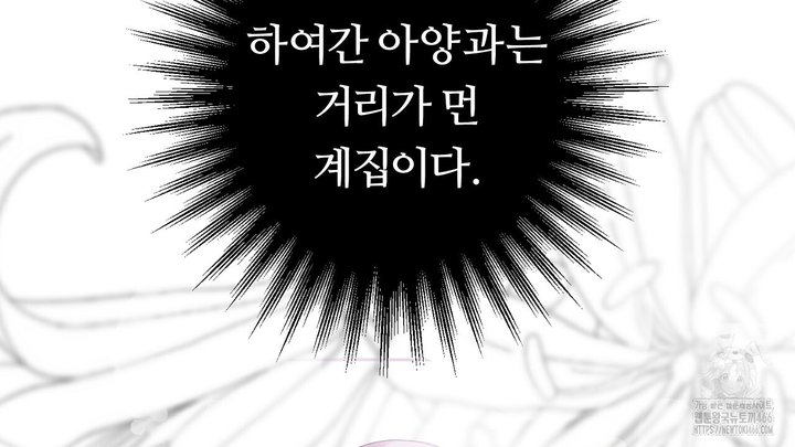 1734648921429itwsqirn4vr.jpg