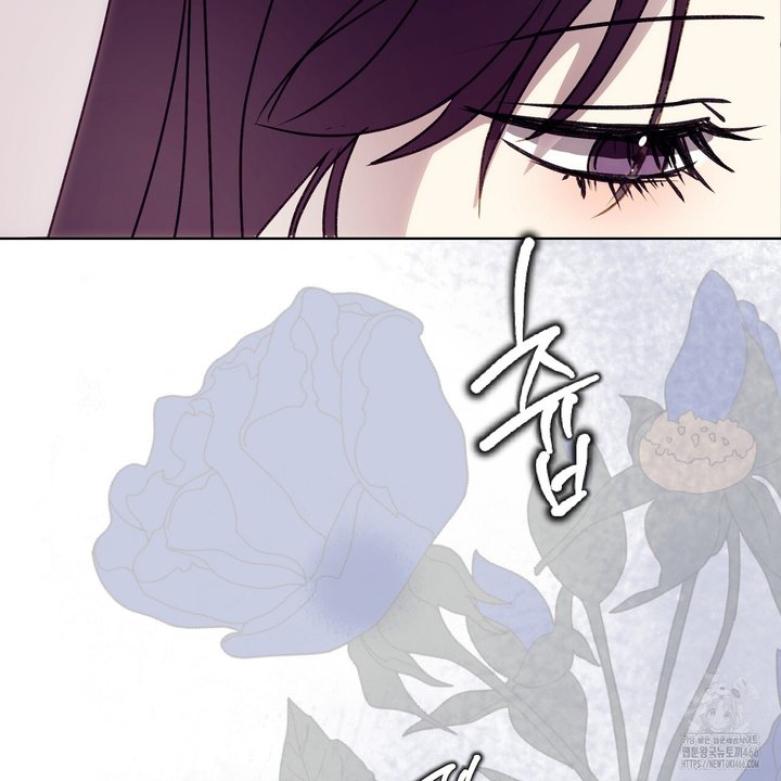 17346489294808gozoi37zak.jpg