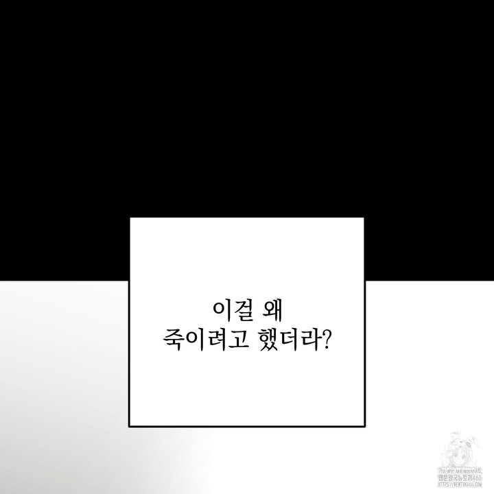 1733529529570xmtck98vn8q.jpg