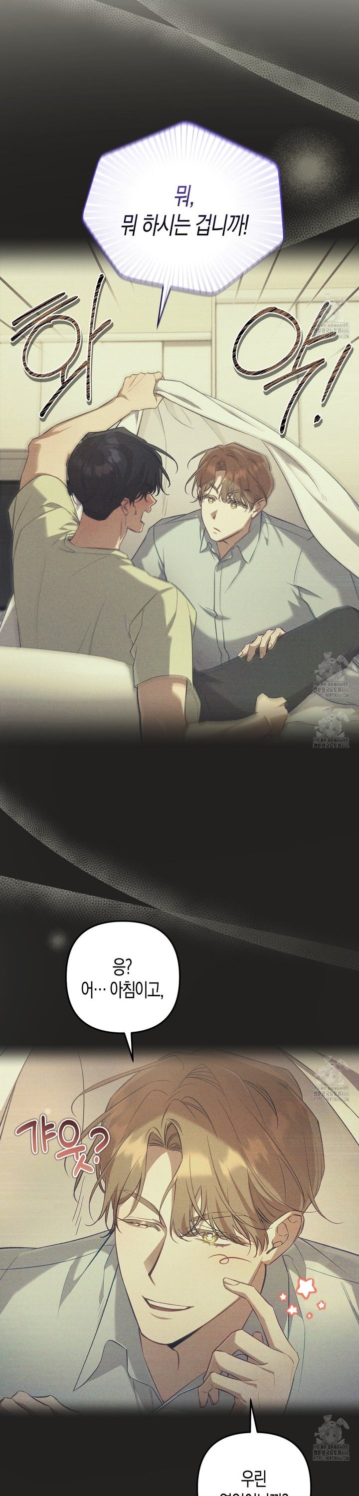 1736631392606cplzsjs08v.jpg