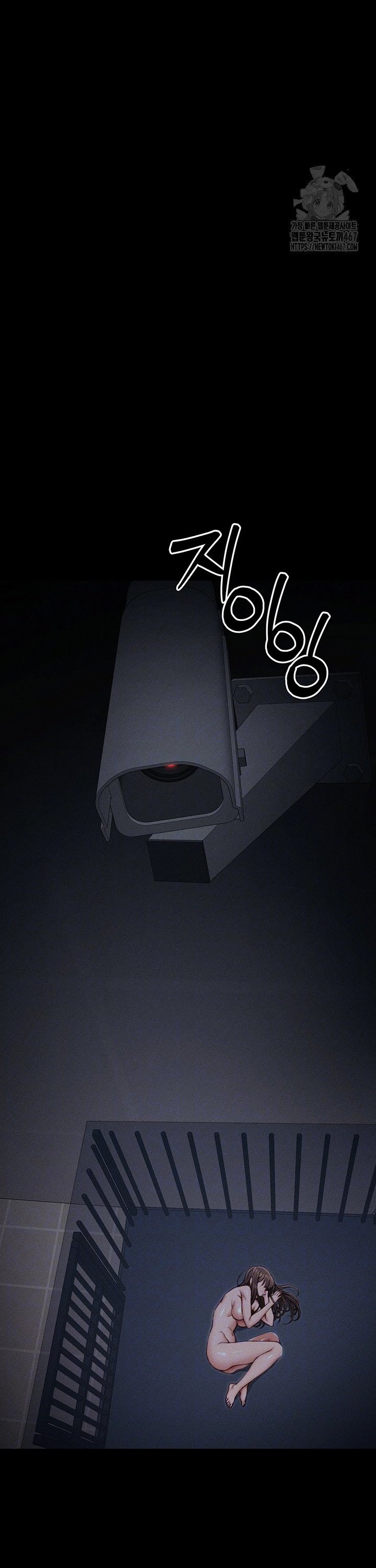 1737152840838ufx8ccd4pze.jpg