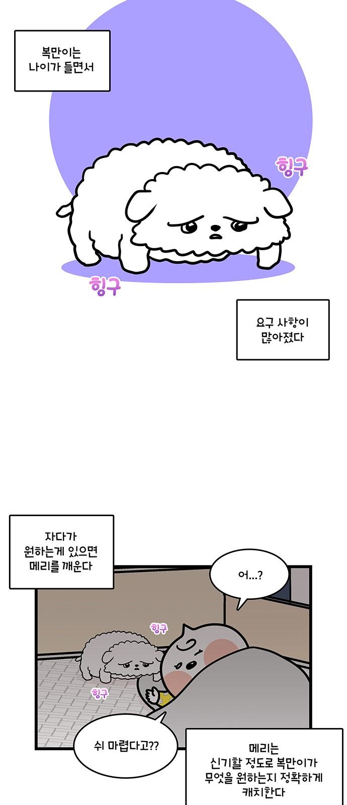 1737150730899cxmdqym3yy9.jpg