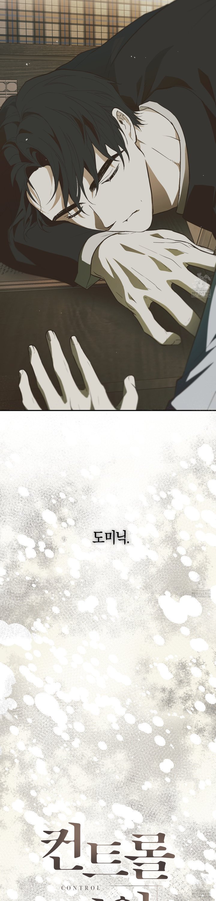 1735860049985sr5mnto0og.jpg