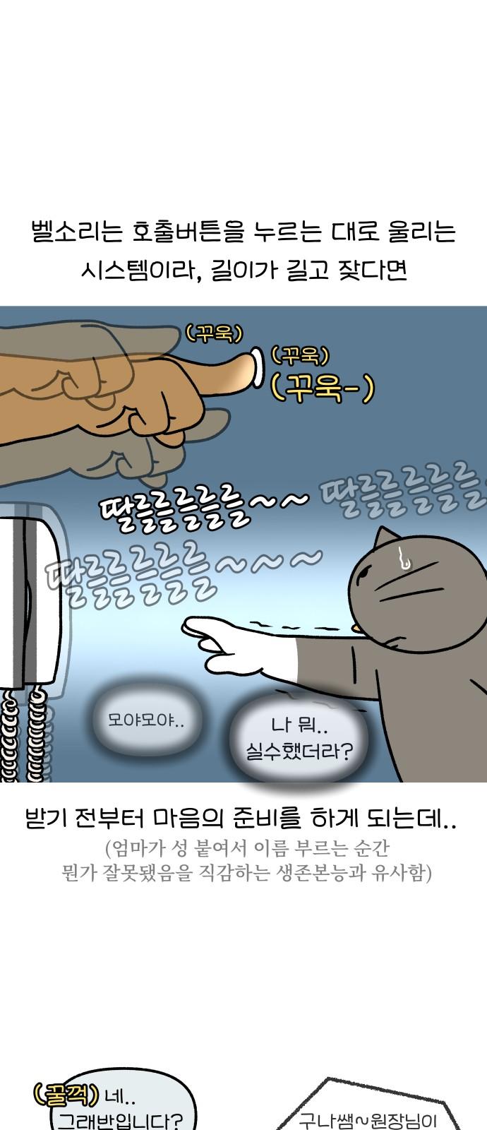 1739314346751raqjjyr83f.jpg