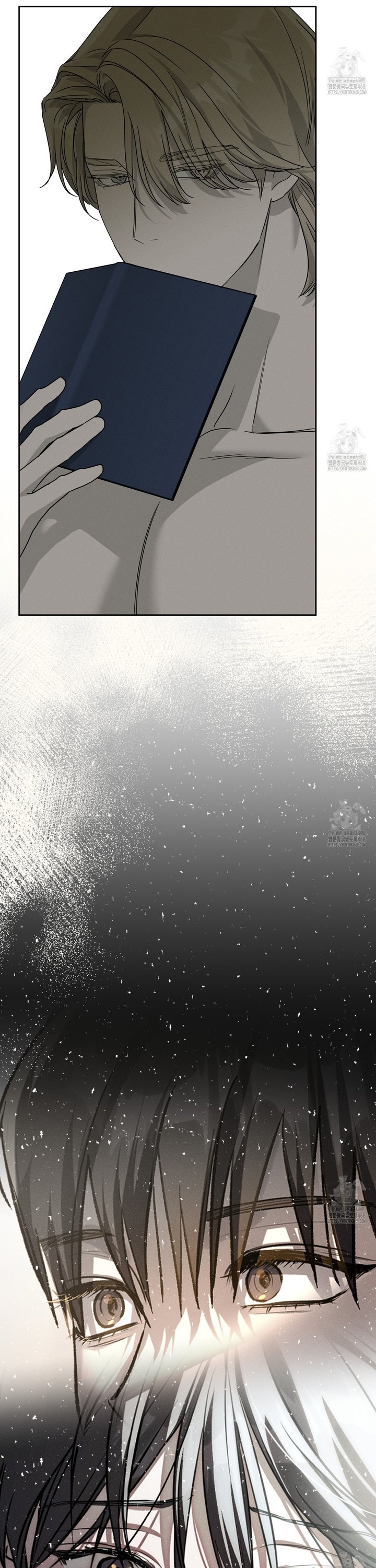 1739744510932j79bt21hqp.jpg