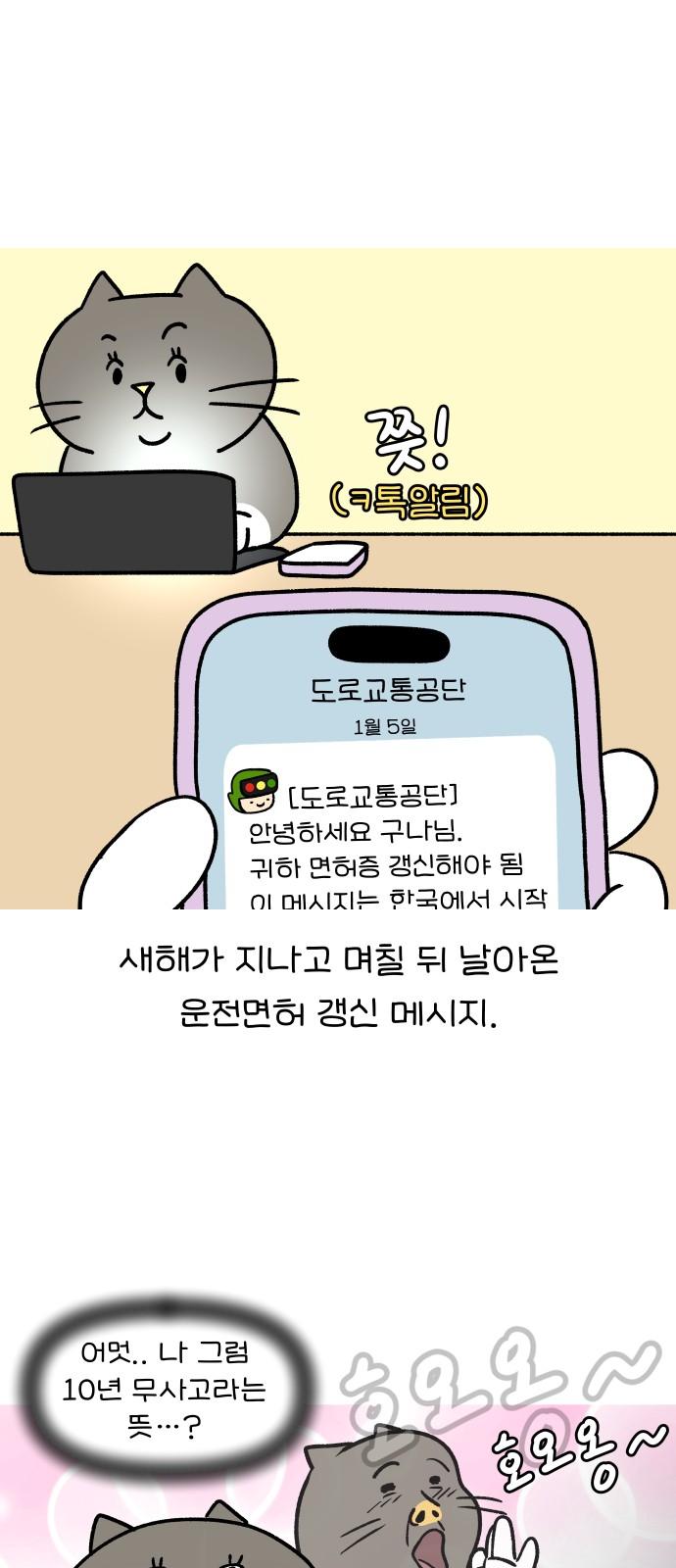 1738541195679mxgd3cftv3n.jpg