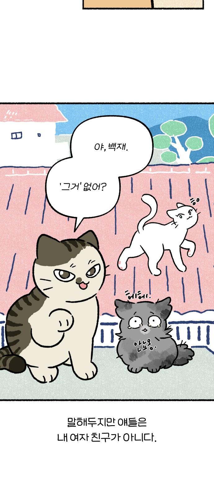 1738625956929wot7g6z5uh.jpg