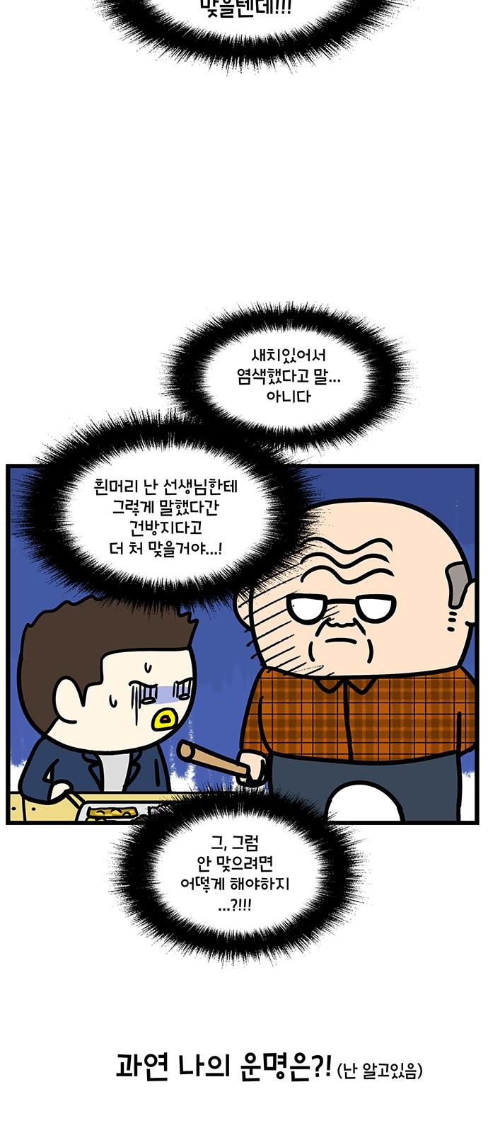 17416561499701ilsib1uni5.jpg