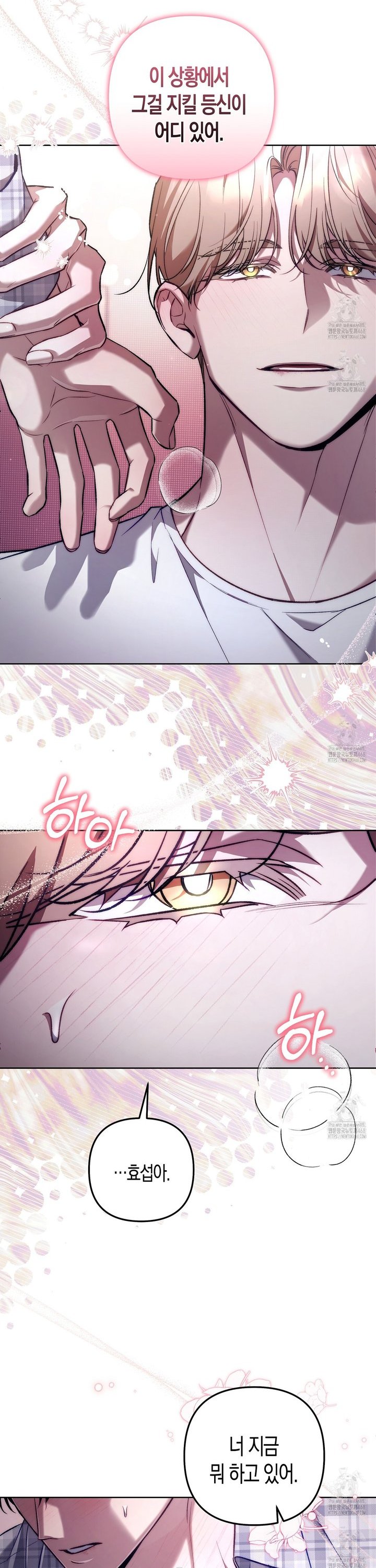 1742083027037u59urui7pgs.jpg