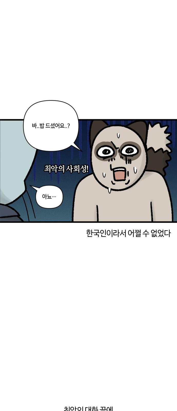 1742181600085ukp61pe1jzs.jpg