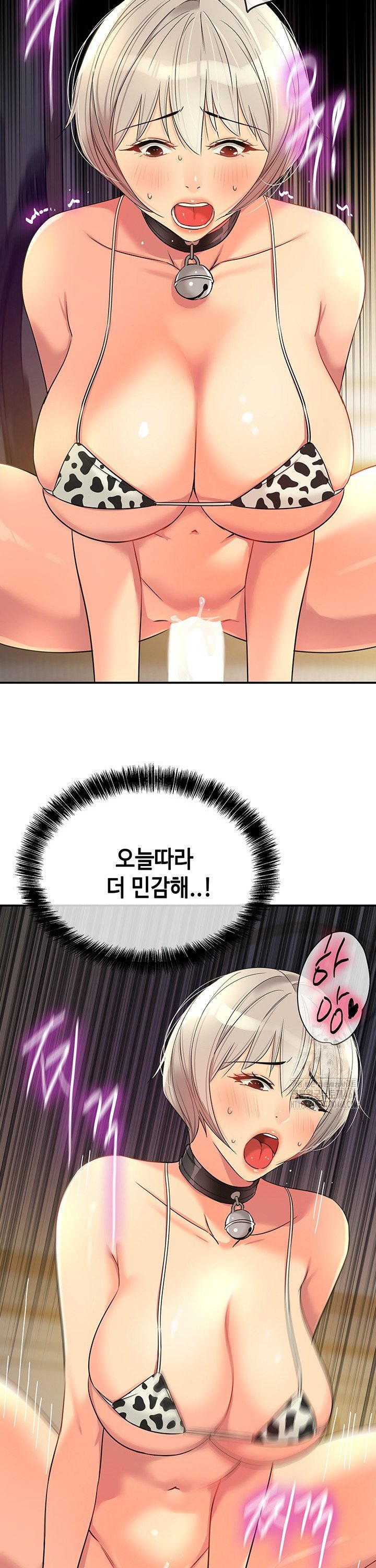 17426972668581rtvktxl6eu.jpg