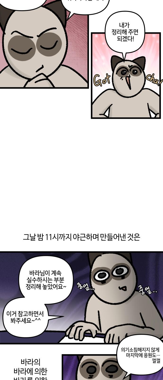 1742773139782t5mzddlmqto.jpg
