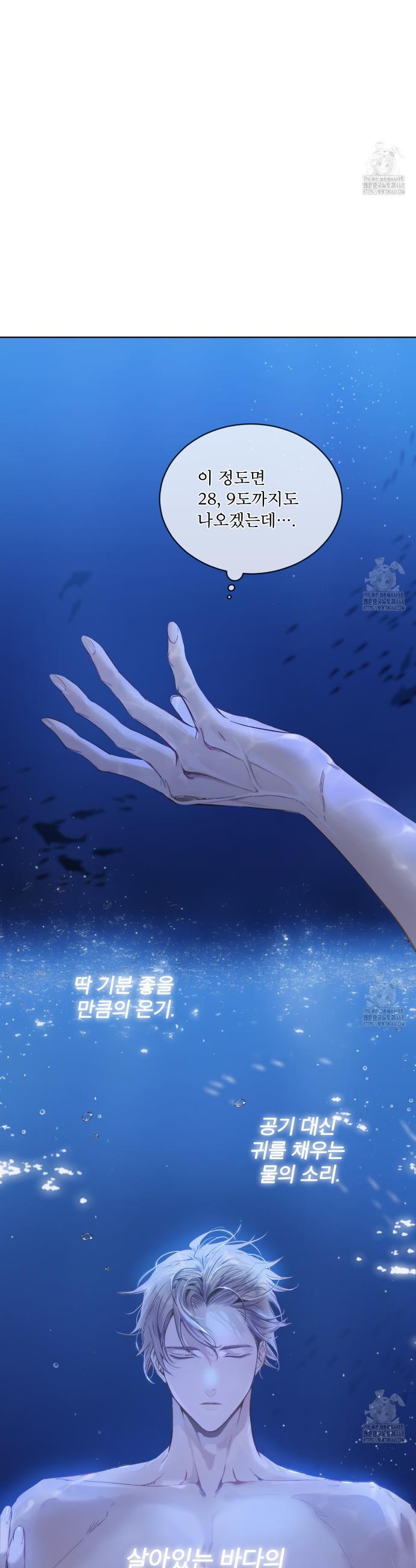 1743283784811iystii4exuq.jpg
