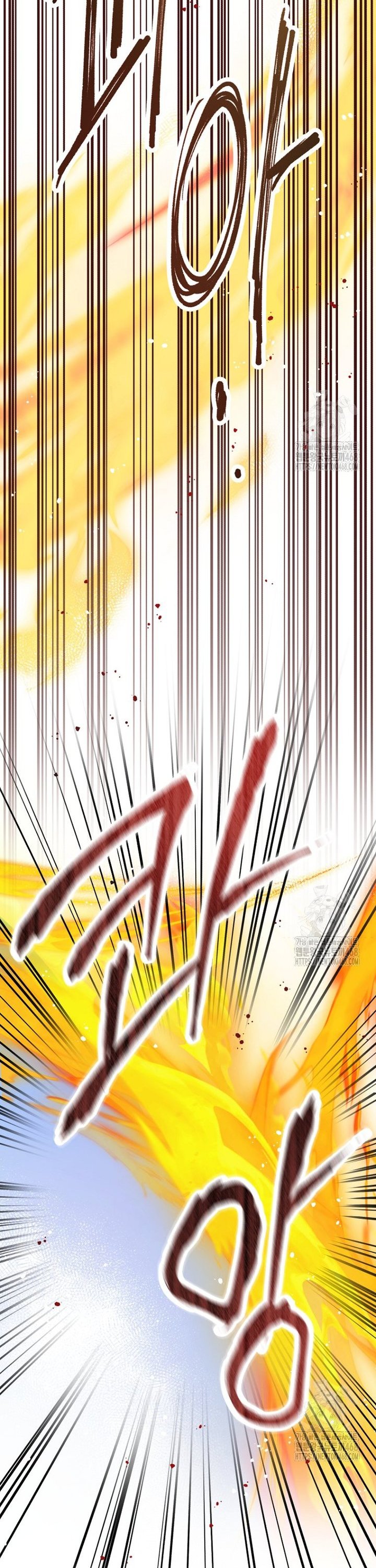 1743376339587enq3ndwsrf9.jpg