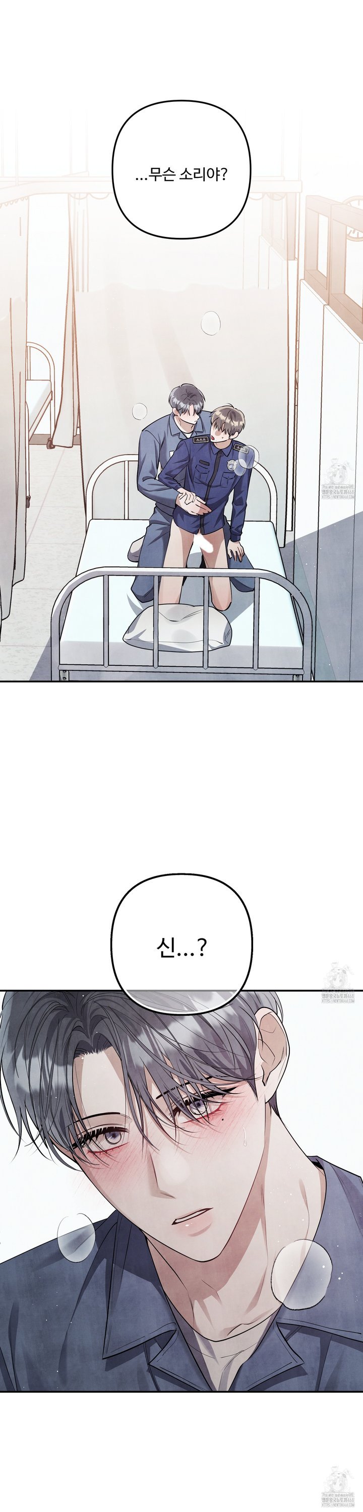 1741235334209wlxwnmkxunm.jpg