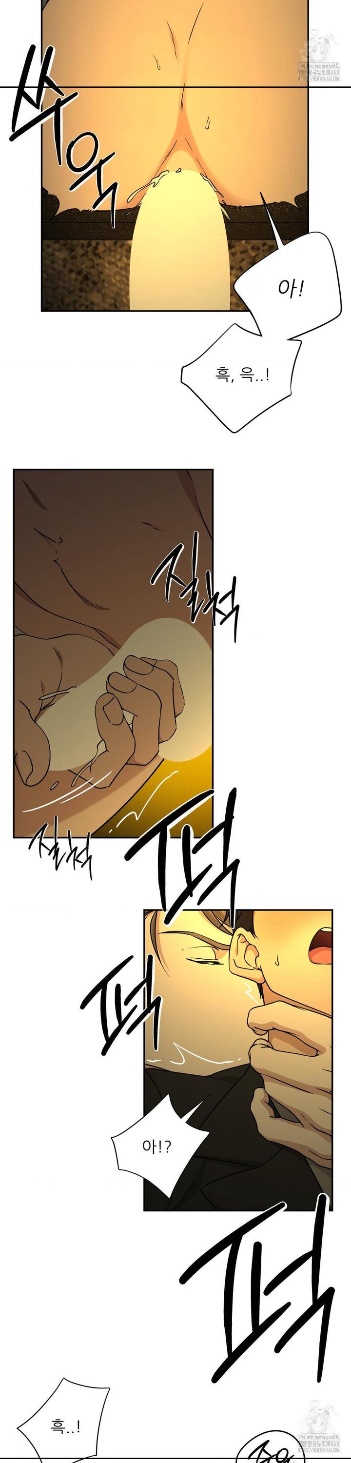 1741471570534izd9jj7wli.jpg