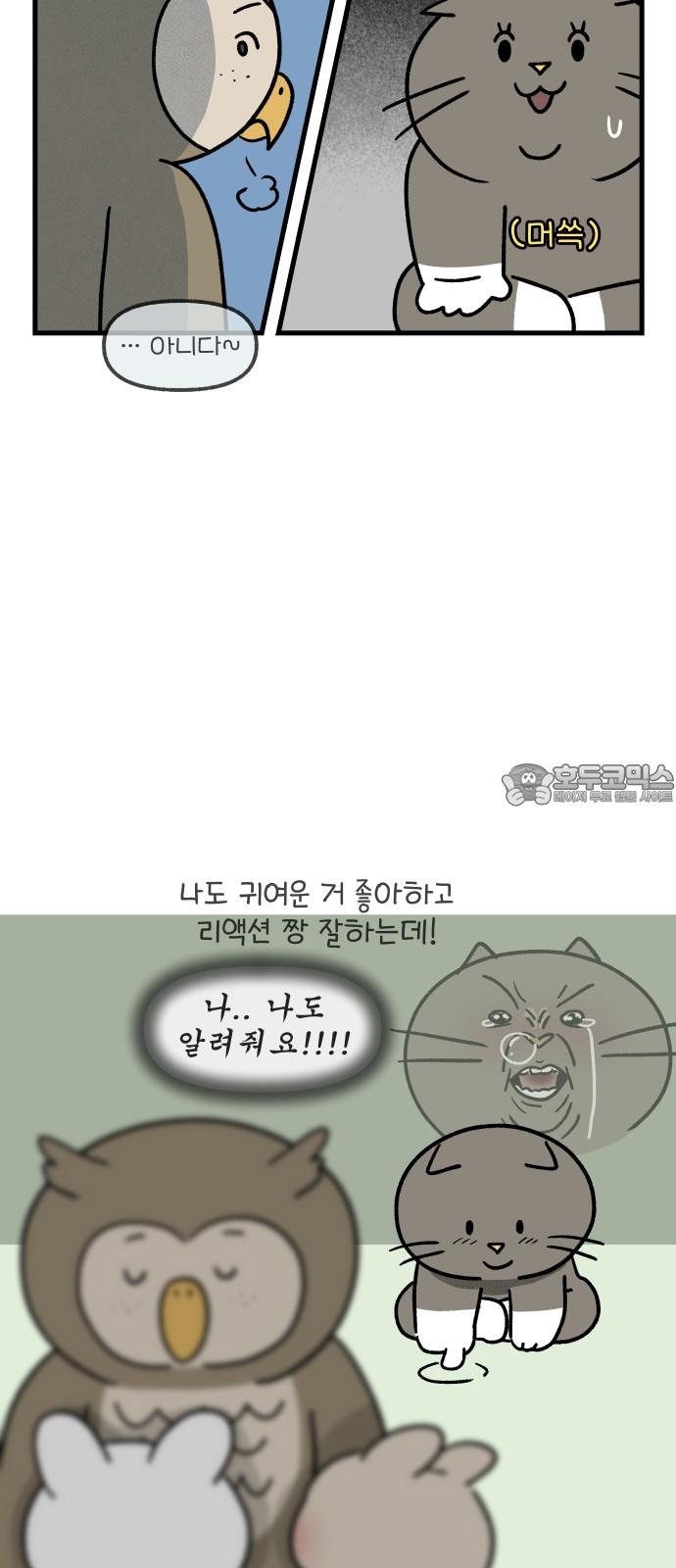 17446007380199u05ome6dwm.jpg