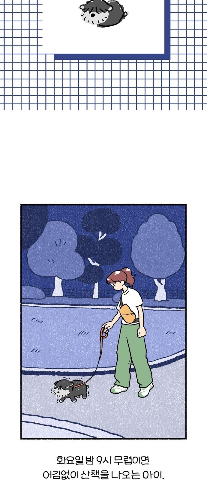 17446445624599tjikr5rggk.jpg