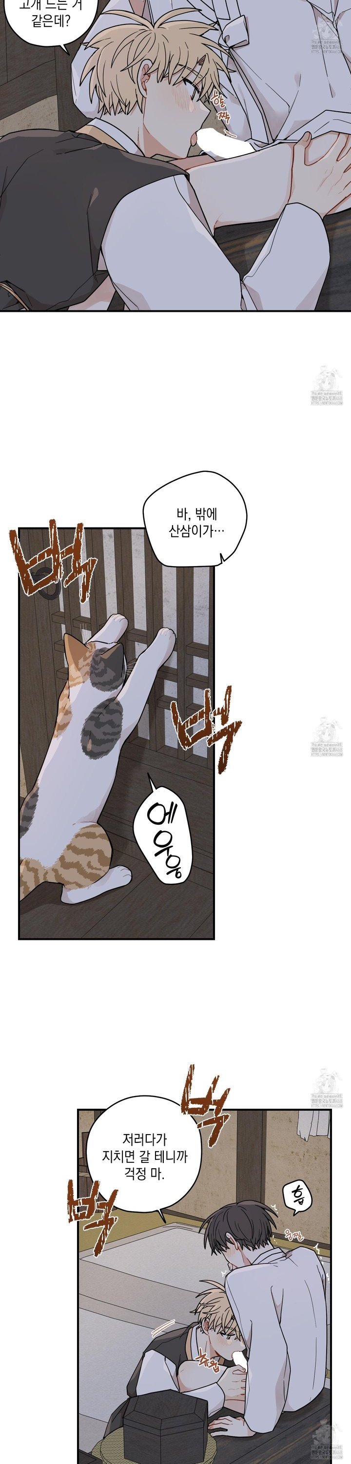 1745048347565u3xveur70mc.jpg