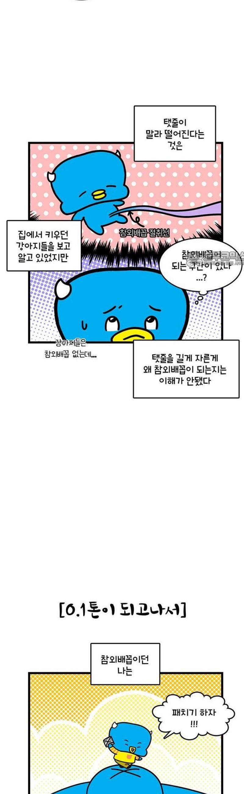 1746829752924qehko6axs8s.jpg