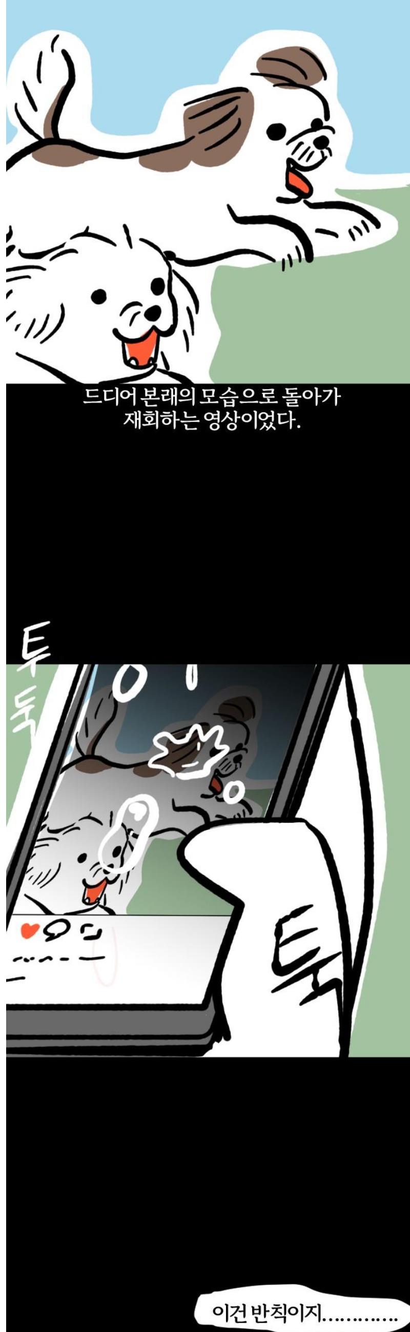 1747342417570idqzh5sxibt.jpg
