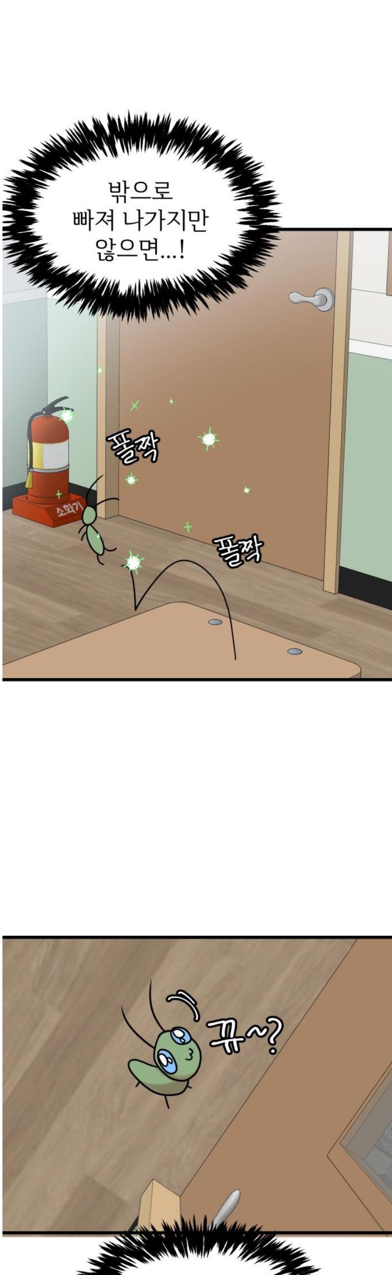 17473420271488dngow13v8k.jpg