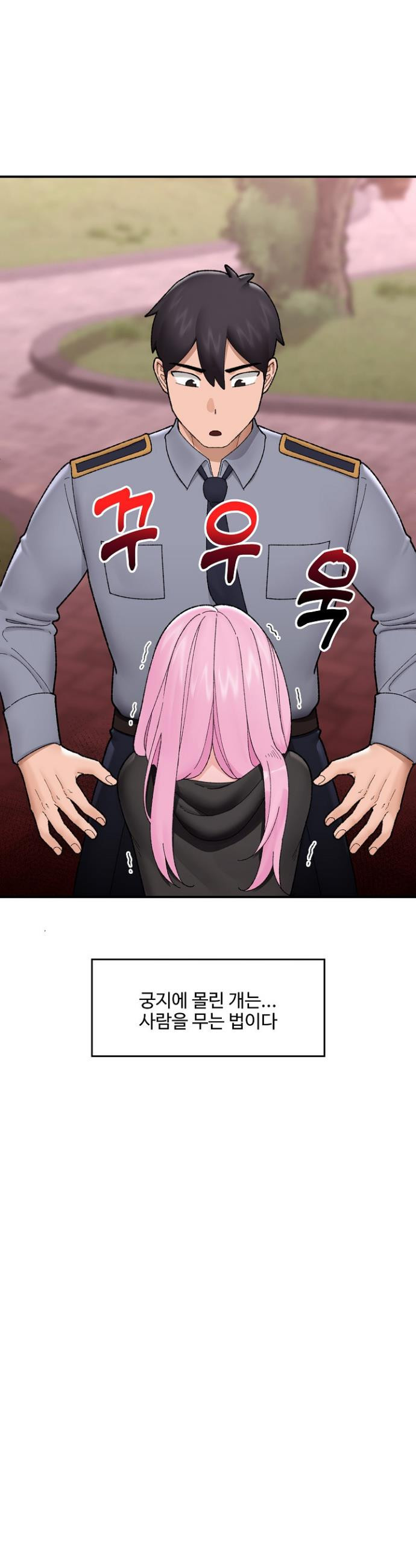 1747470488181nluqdjuc7ll.jpeg