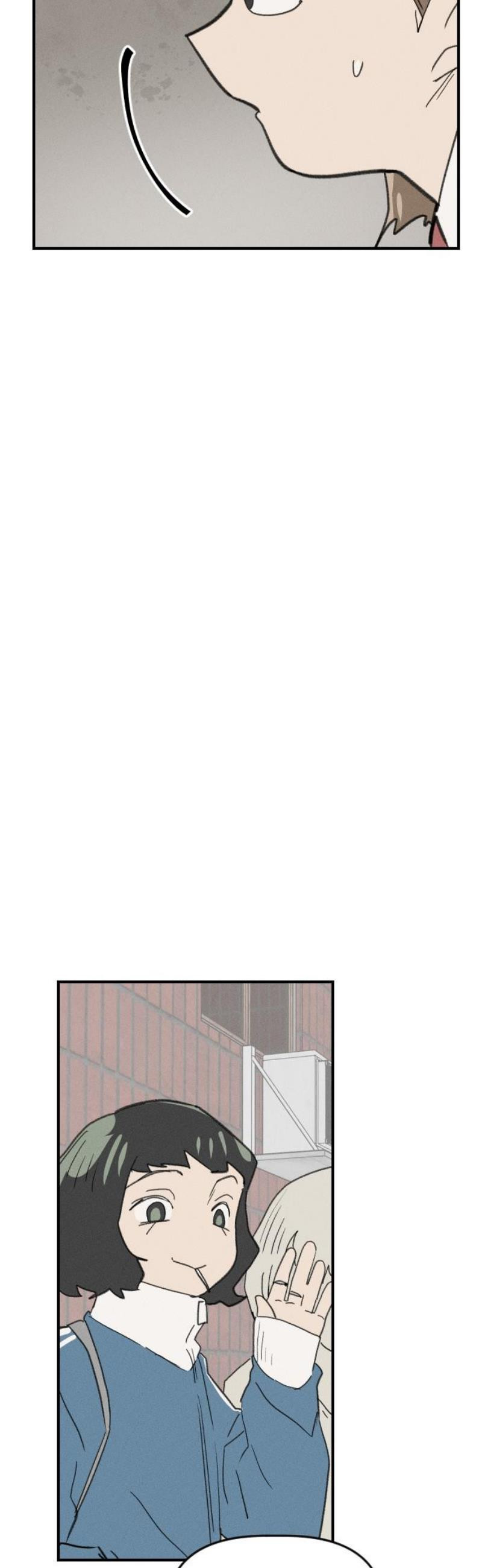 1747469591036id6eomn0r3p.jpeg