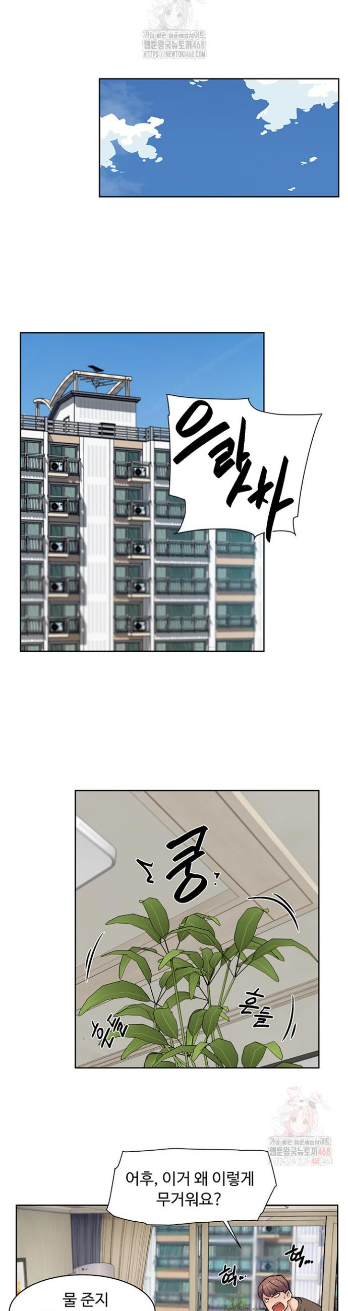 1747471207104ydve361b3m.jpeg