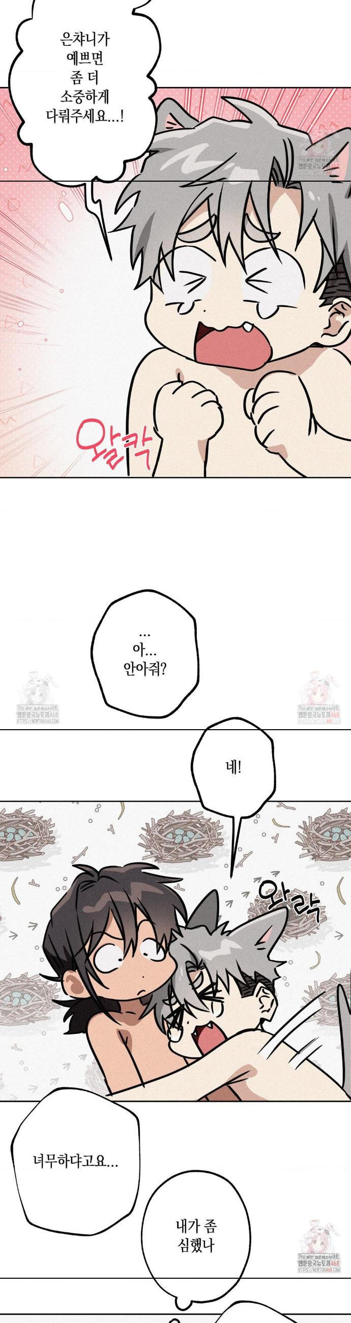 17474702774093ehi1kyyueg.jpeg