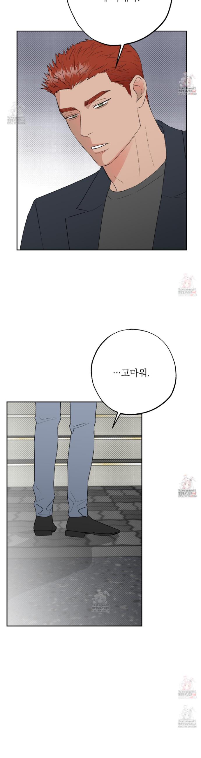 003.jpg