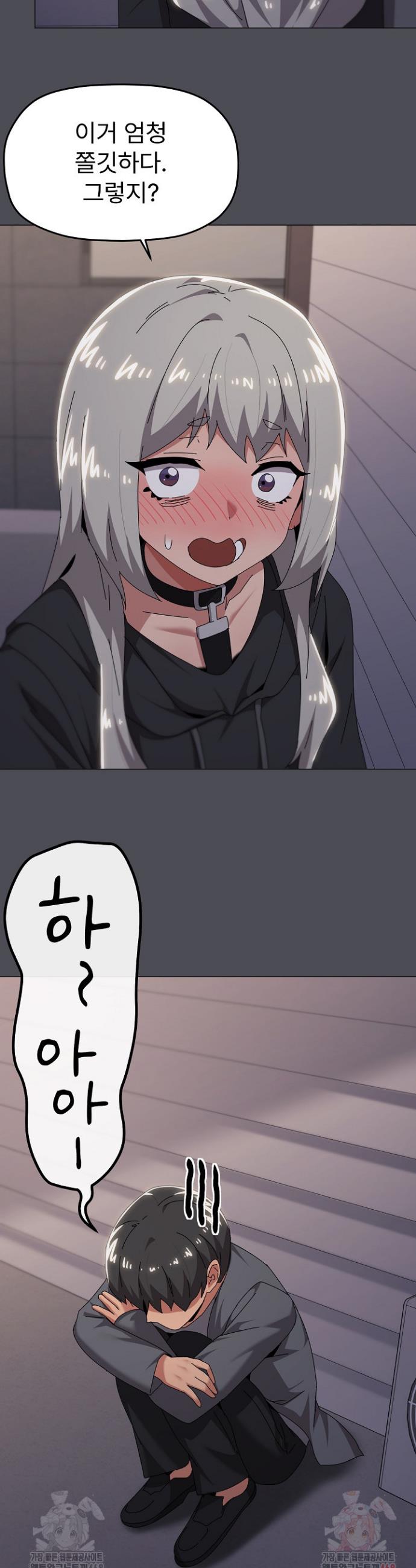 006.jpg