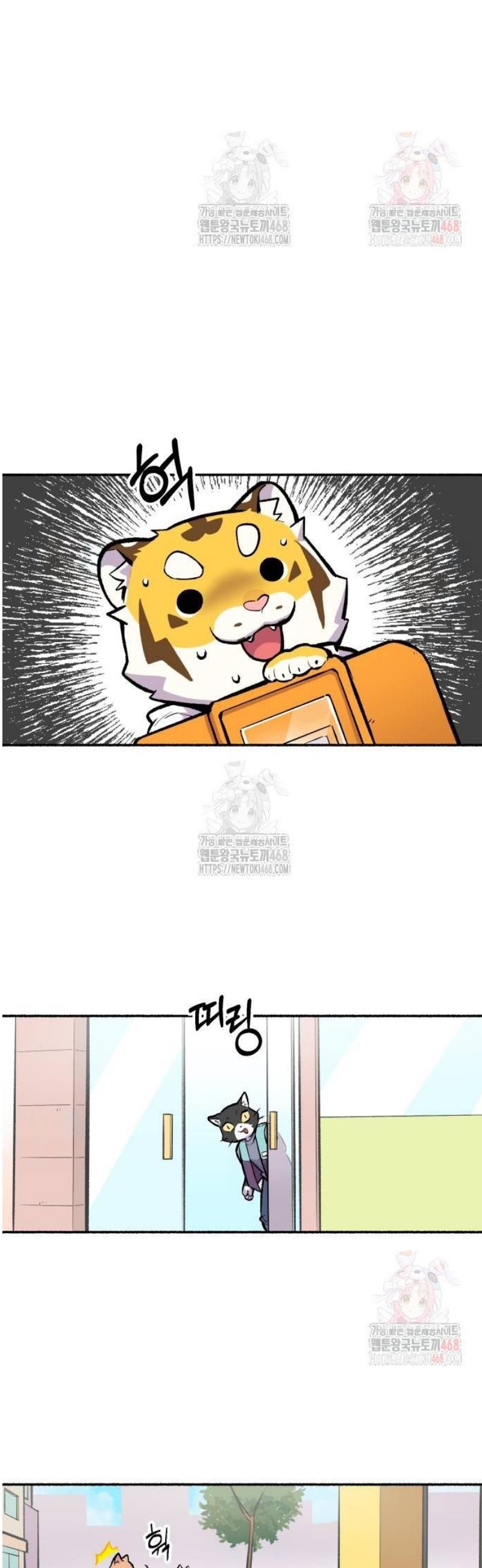 003.jpg